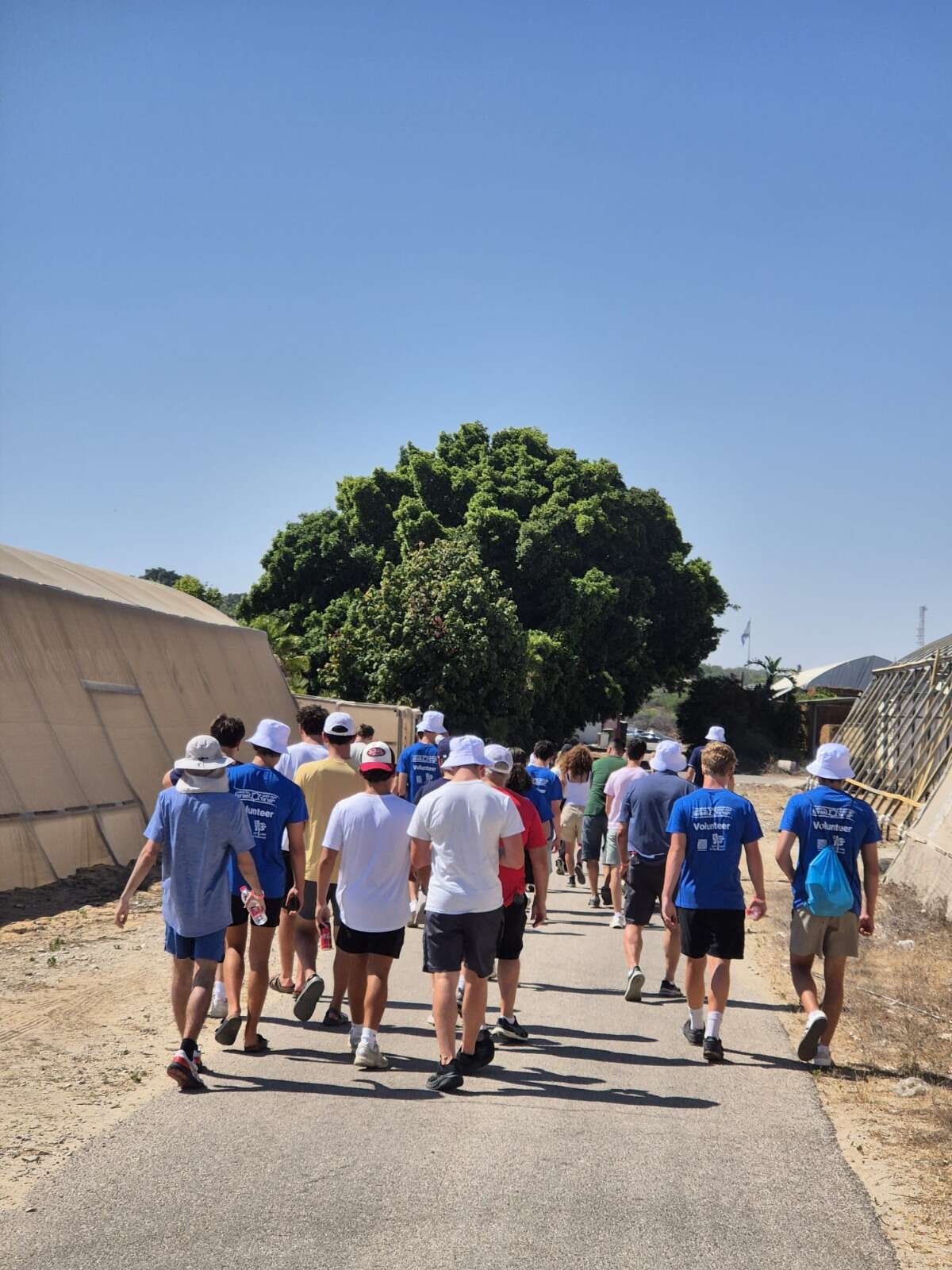 ספורטאי המכביה התנדבו בחקלאות בעוטף עזה | לקט ישראל ספורטאי המכביה התנדבו בחקלאות בעוטף עזה | לקט ישראל