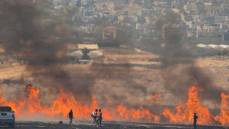זירות פיגוע ההצתה ופיגוע הדקירה שבוצע בחסות ההצתה בחוות דרך אברהם הסמוכה לאלון מורה | נדב גולדשטיין, TPS זירות פיגוע ההצתה ופיגוע הדקירה שבוצע בחסות ההצתה בחוות דרך אברהם הסמוכה לאלון מורה | נדב גולדשטיין, TPS