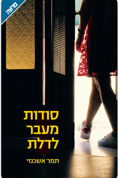סודות מעבר
 לדלת | תמר אשכנזי, ידיעות ספרים, 294 עמ'