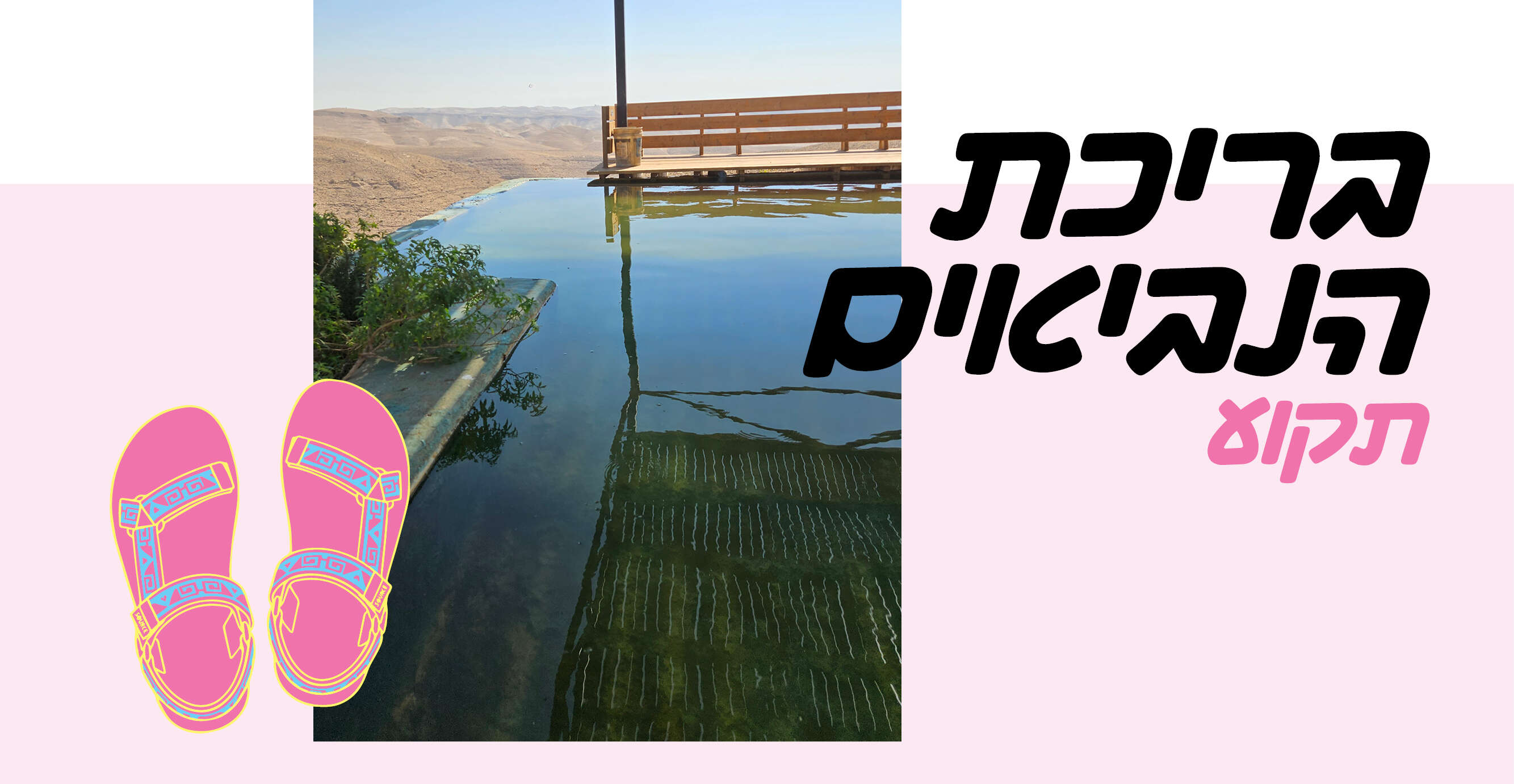 באדיבות הישוב תקוע