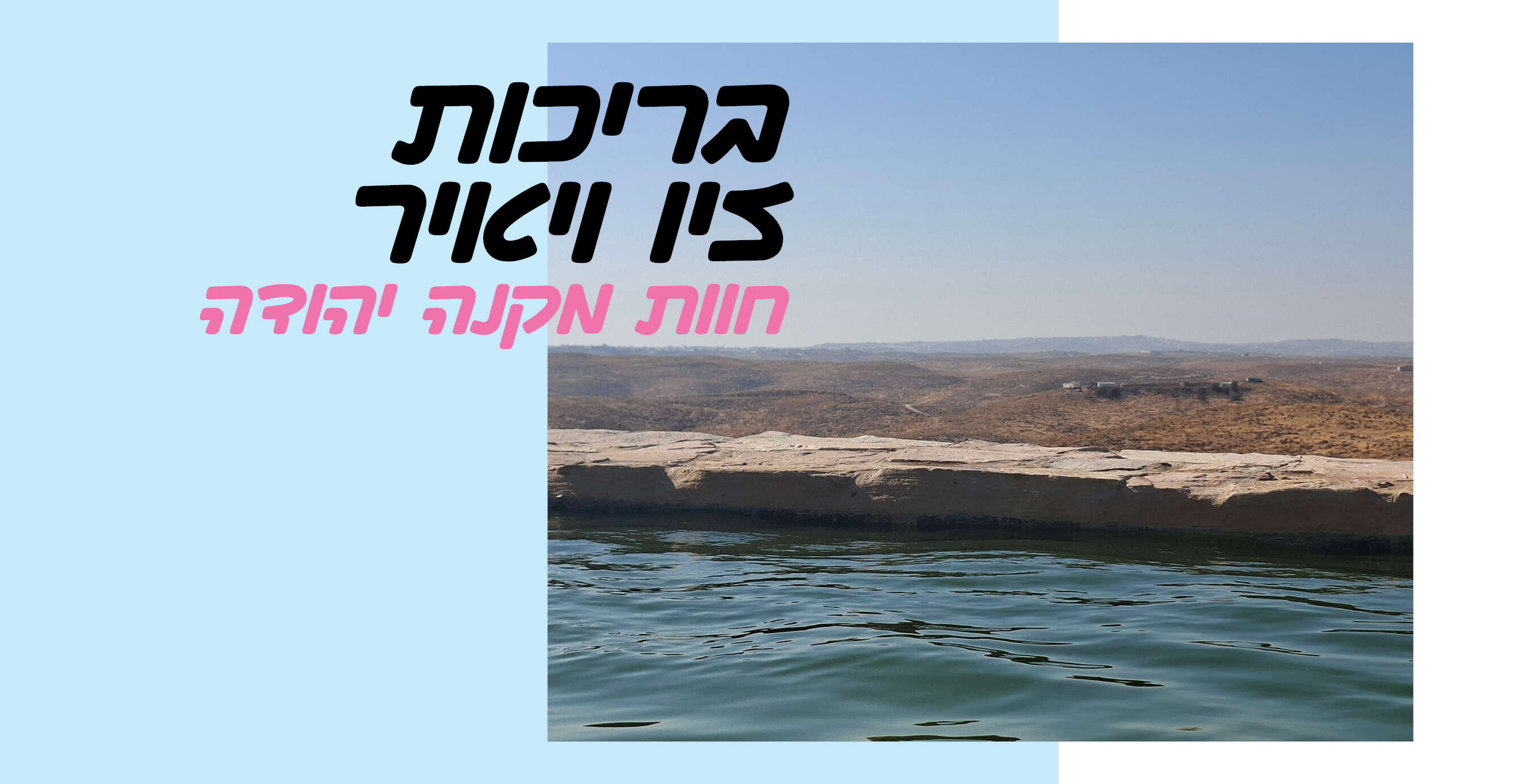 אביגיל זית