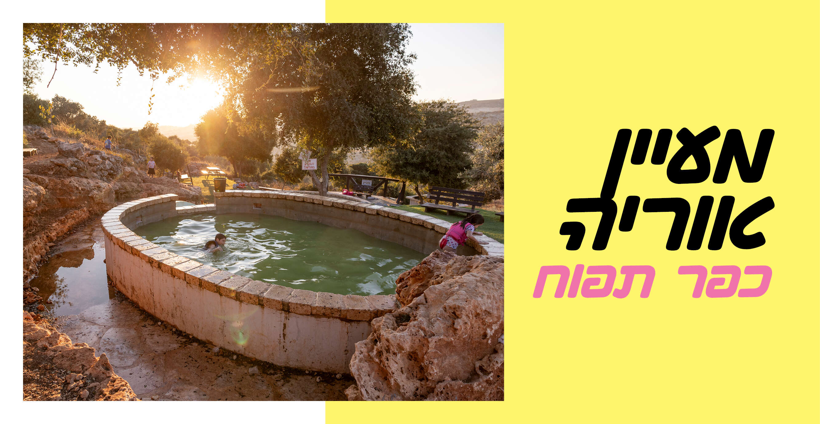 נעמה שטרן