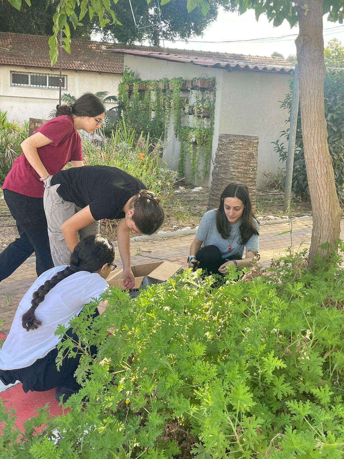 לא רק שיעור חקלאות: התלמידים שהקימו קו של מוצרי טיפוח | כפר הנוער עיינות לא רק שיעור חקלאות: התלמידים שהקימו קו של מוצרי טיפוח | כפר הנוער עיינות