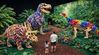 תערוכת הפרחים FLOWERS 2026 באקספו תל אביב | בנדה הפקות