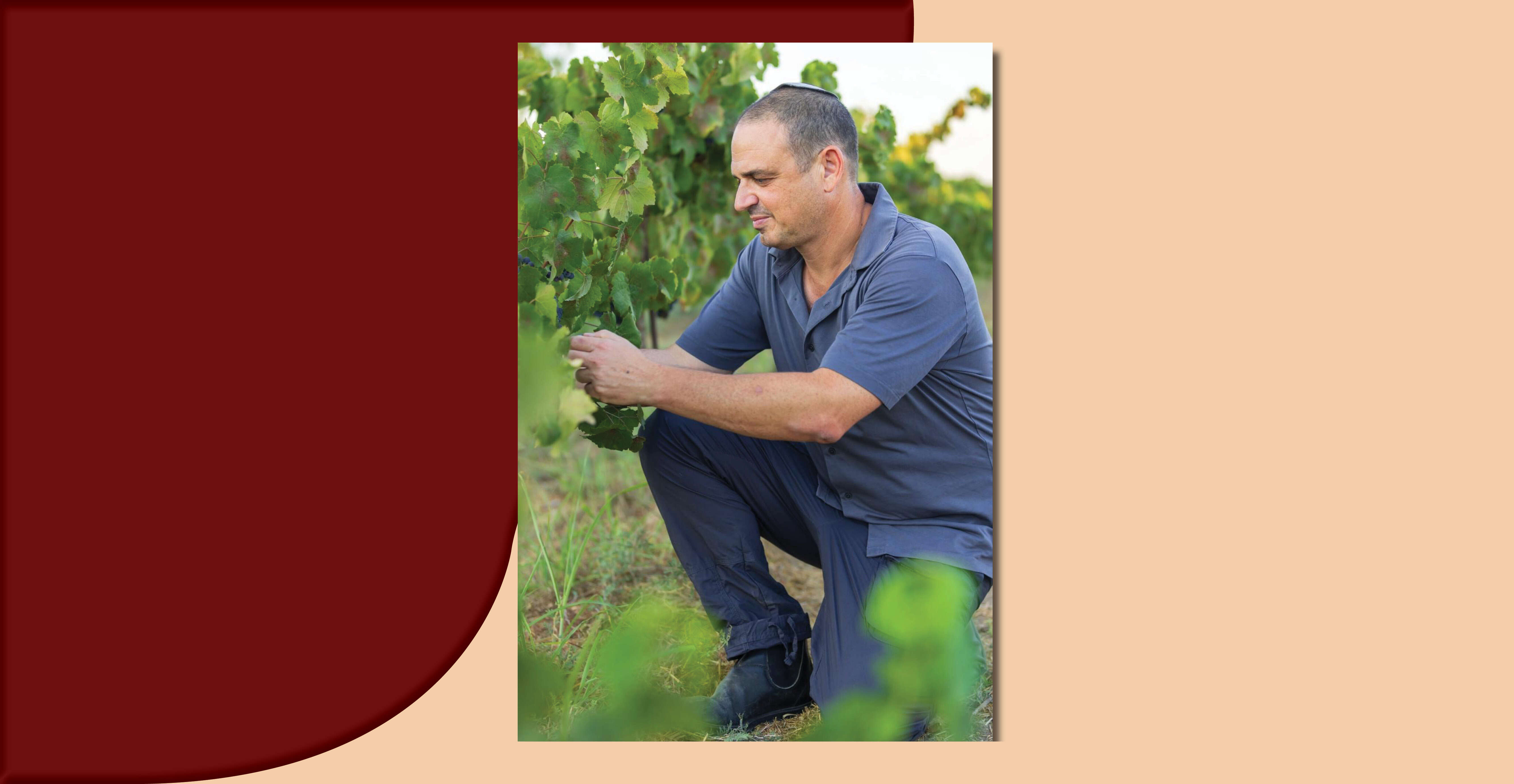 אוליבייה פרתי | אוליבייה פרתי