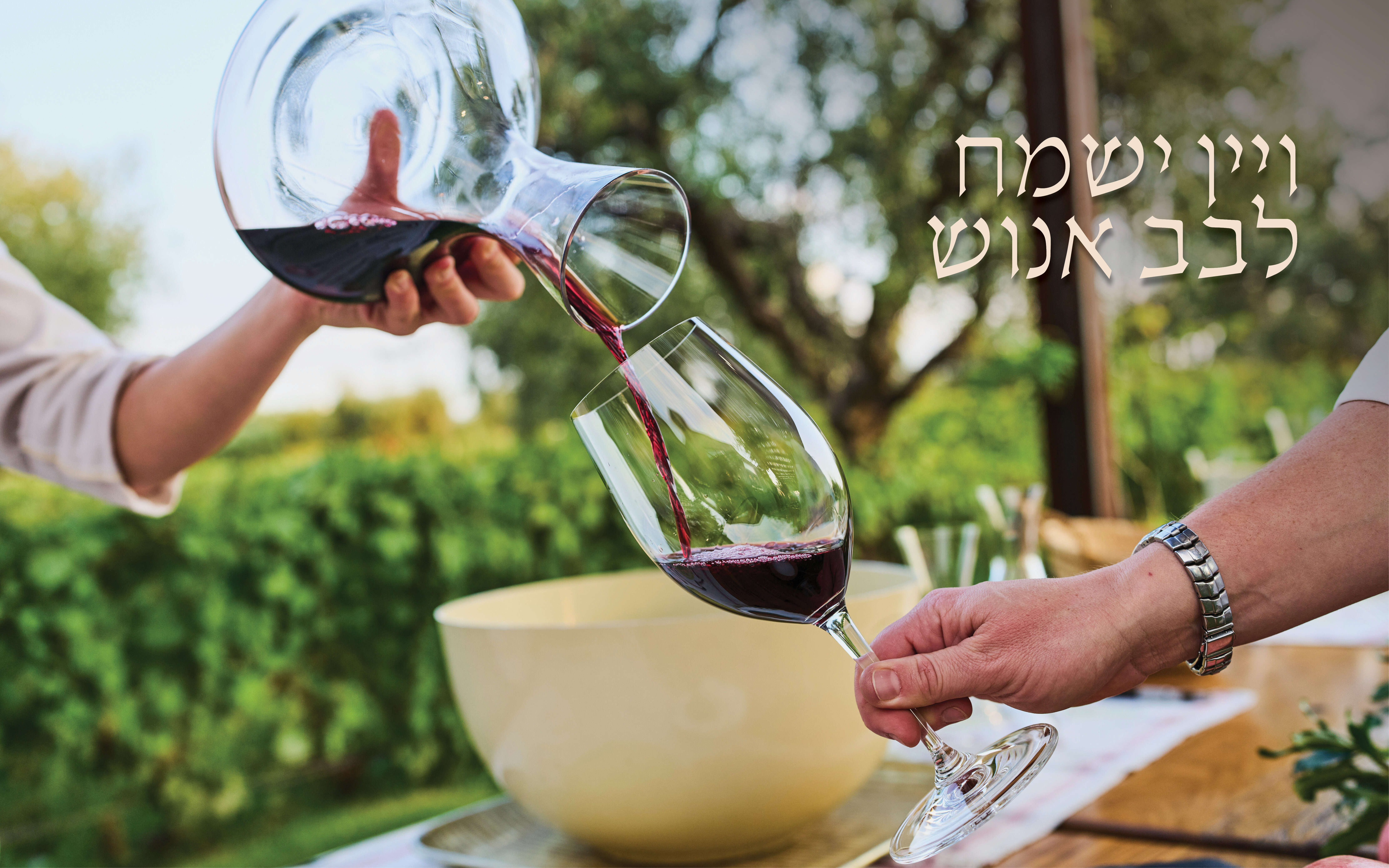 ויין ישמח לבב אנוש | AP
