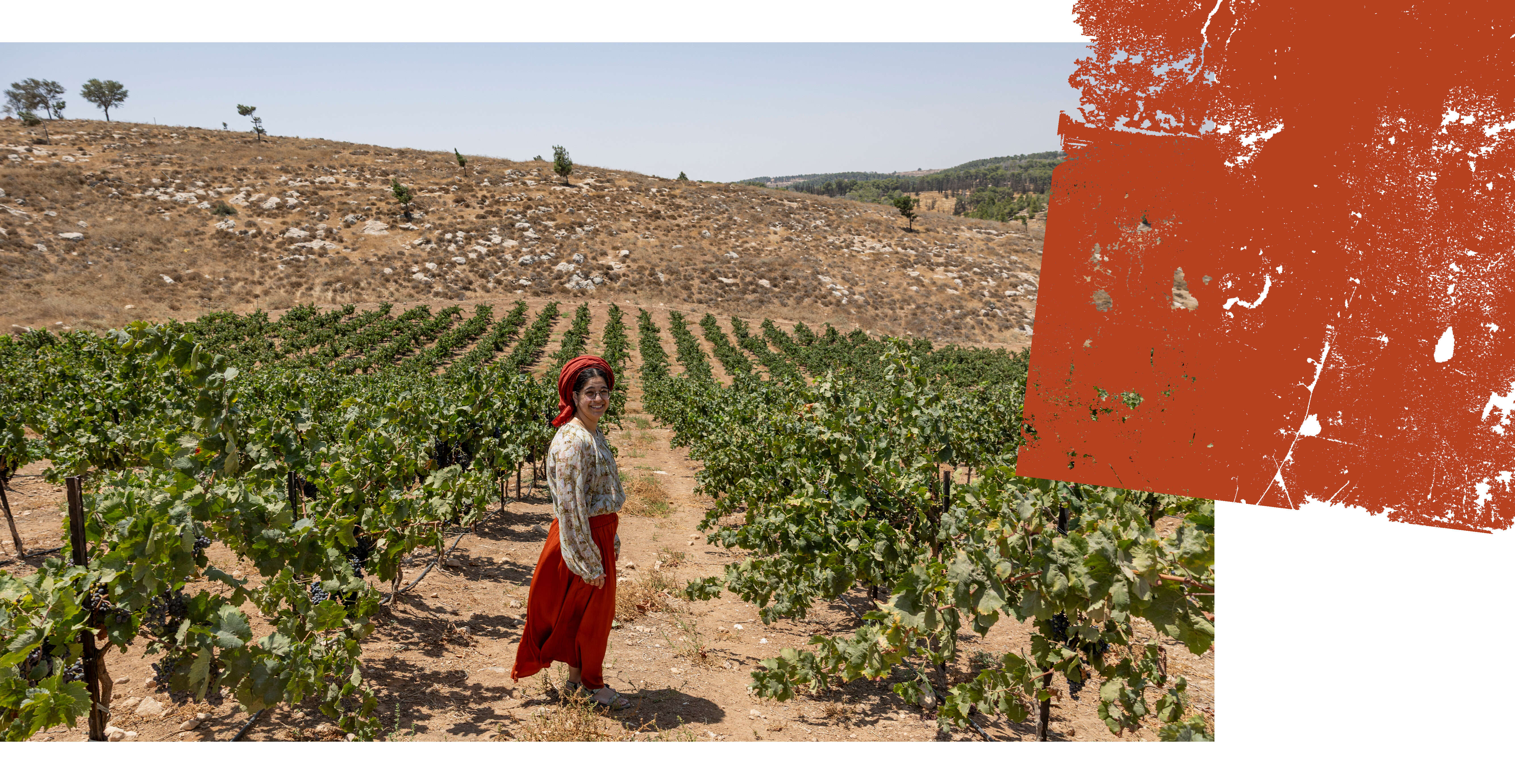 ניצן טהר | נעמה שטרן ניצן טהר | נעמה שטרן