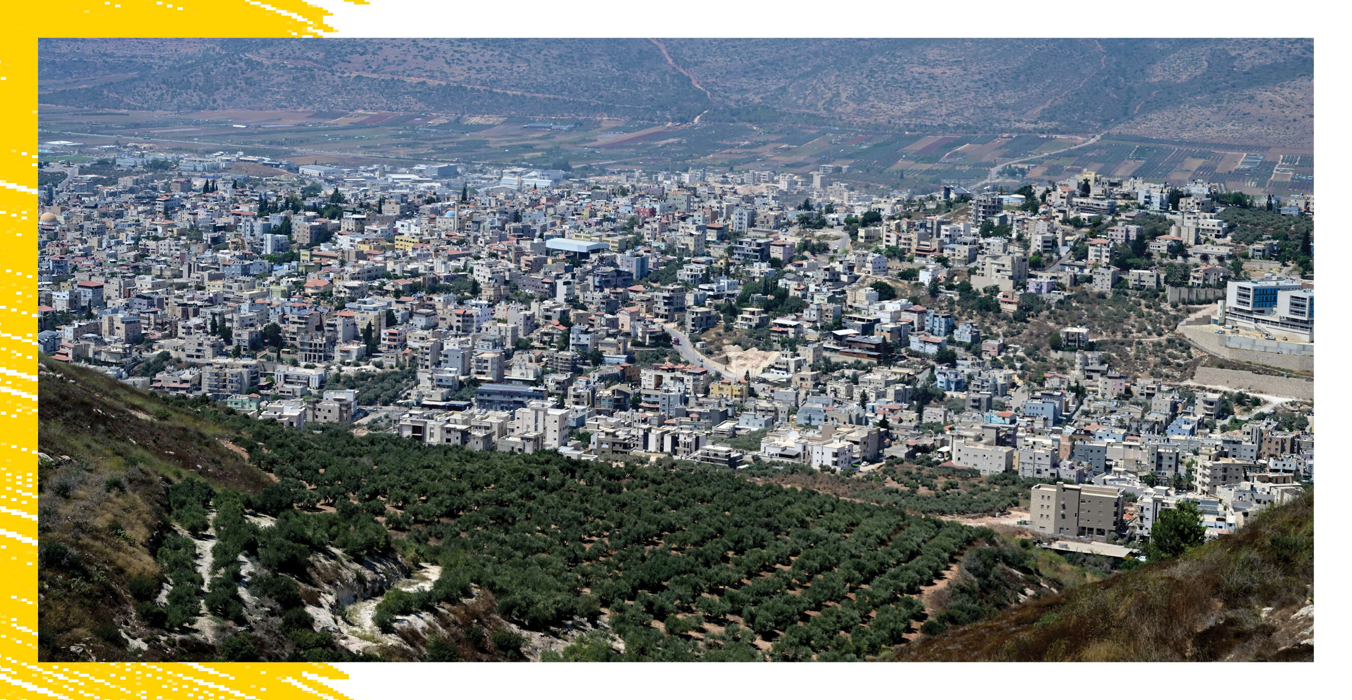 יוסי זליגר יוסי זליגר