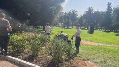 טבעיינות בעיינות: שמני קצח, פשתן ודלעת וקמחים מיוחדים | טבעיינות, כפר הנוער עיינות טבעיינות בעיינות: שמני קצח, פשתן ודלעת וקמחים מיוחדים | טבעיינות, כפר הנוער עיינות