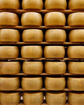 גלגלי גבינת פרמזן Parmigiano Reggiano מאוחסנים בנוצ'טו, ליד פארמה, איטליה | AP