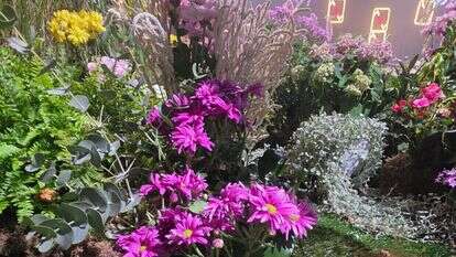 תערוכת FLOWERS באקספו תל אביב: יריד צמחים ועציצים ב־70% הנחה | בנדה הפקות תערוכת FLOWERS באקספו תל אביב: יריד צמחים ועציצים ב־70% הנחה | בנדה הפקות