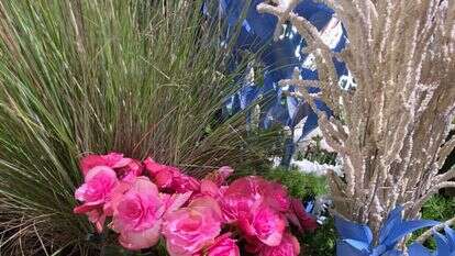 תערוכת FLOWERS באקספו תל אביב: יריד צמחים ועציצים ב־70% הנחה | בנדה הפקות תערוכת FLOWERS באקספו תל אביב: יריד צמחים ועציצים ב־70% הנחה | בנדה הפקות