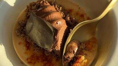CHOCOLATE PUFF | תמר אברג'ל, דתילישס CHOCOLATE PUFF | תמר אברג'ל, דתילישס