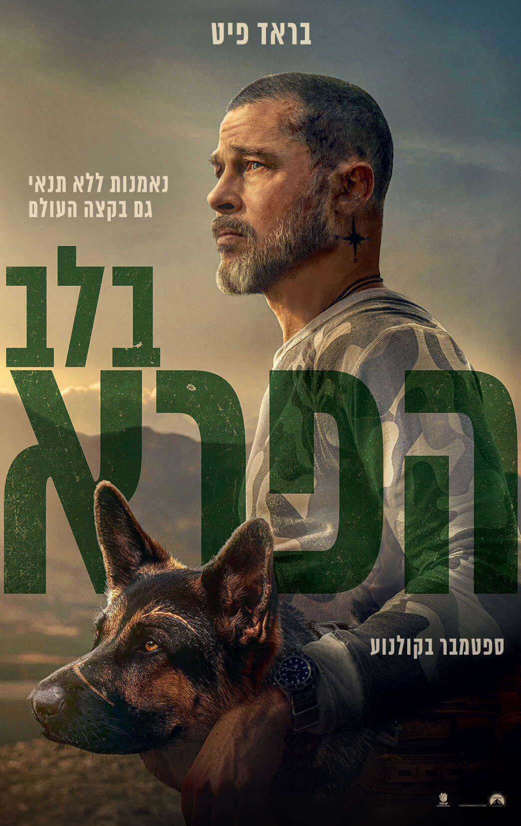 בלב הפרא, כרזת הסרט | טוליפ בלב הפרא, כרזת הסרט | טוליפ
