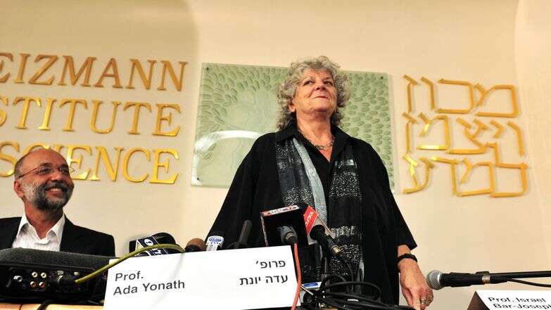 פרופ' עדה יונת ז"ל | שאטרסטוק פרופ' עדה יונת ז"ל | שאטרסטוק