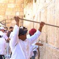 פינוי הפתקים המסורתי מבין אבני הכותל המערבי והעברתם לגניזה | הקרן למורשת הכותל המערבי