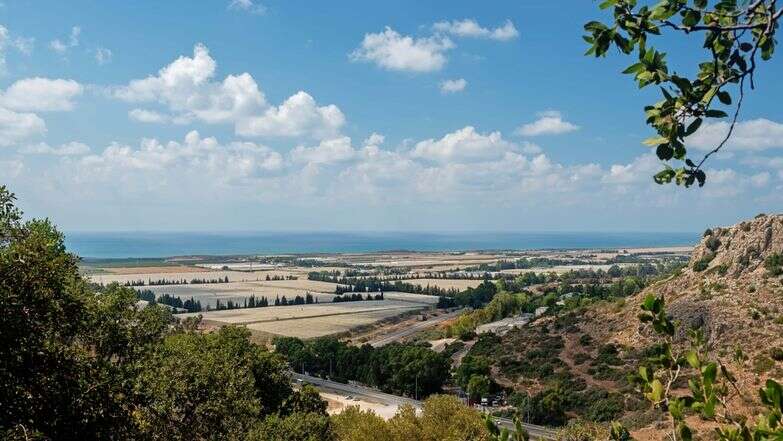 מבט על חיפה מהר הכרמל | שאטרסטוק מבט על חיפה מהר הכרמל | שאטרסטוק