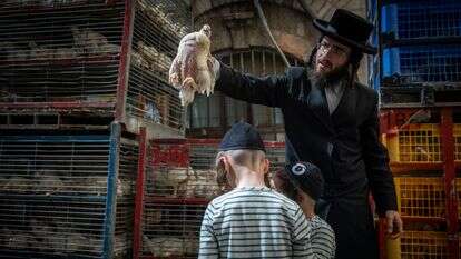 טקס הכפרות בשכונת מאה שערים בירושלים | יונתן זינדל, פלאש 90 טקס הכפרות בשכונת מאה שערים בירושלים | יונתן זינדל, פלאש 90