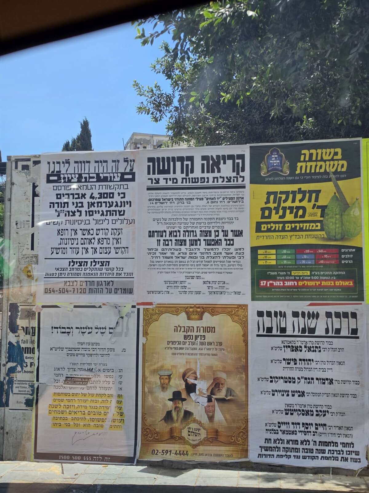 הפשקווילים | ללא הפשקווילים | ללא