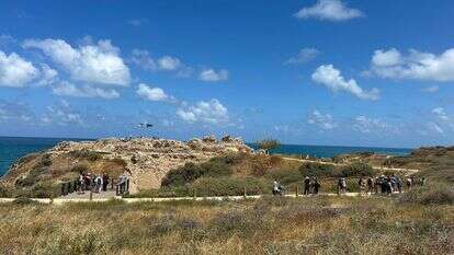 אפולוניה | אסף נויסבום אפולוניה | אסף נויסבום