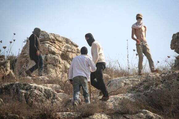 יהודים תוקפים עיתונאים ערבים בעונת מסיק הזיתים בכפר ביתא | נאצר אישתיה, פלאש 90