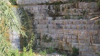 נחל דוד | עידו ביטרן, רשות הטבע והגנים