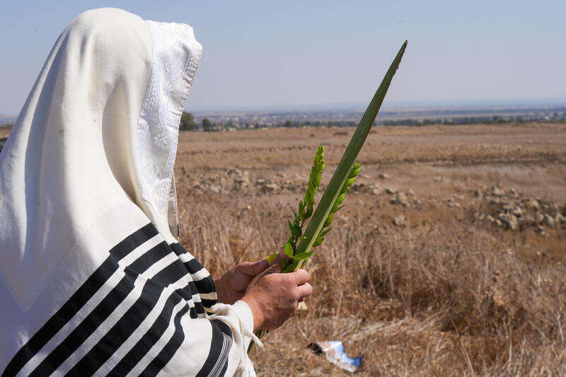 חייל מילואים חרדי מחטיבת החשמונאים מנענע ארבעת המינים סמוך לגבול סוריה | אייל מרגולין, פלאש 90 חייל מילואים חרדי מחטיבת החשמונאים מנענע ארבעת המינים סמוך לגבול סוריה | אייל מרגולין, פלאש 90