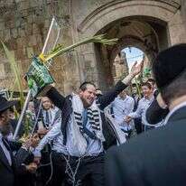 יהודים חוגגים עם ארבעת המינים מחוץ לשער האריות בעיר העתיקה | חיים גולדברג, פלאש 90 יהודים חוגגים עם ארבעת המינים מחוץ לשער האריות בעיר העתיקה | חיים גולדברג, פלאש 90