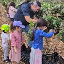משפחות התנדבו בחקלאות במהלך חגי תשרי | חיבורים בחקלאות משפחות התנדבו בחקלאות במהלך חגי תשרי | חיבורים בחקלאות
