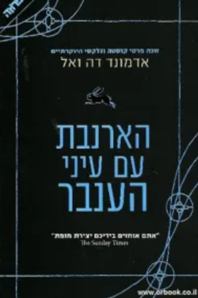הארנבת עם עיני הענבר | ידיעות ספרים הארנבת עם עיני הענבר | ידיעות ספרים