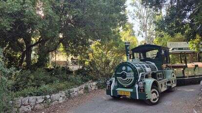 יום הבחירות בגן הבוטני בירושלים: פעילויות לכל המשפחה | גבי פלד יום הבחירות בגן הבוטני בירושלים: פעילויות לכל המשפחה | גבי פלד