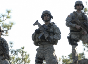 צילום: goarmy צילום: goarmy