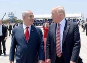 צילום: אבי אוחיון, לע צילום: אבי אוחיון, לע
