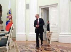 http://en.kremlin.ru/multimedia/photo