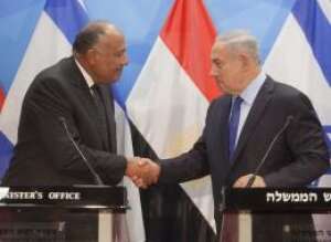 צילום: AP צילום: AP