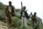מקור: yemenfox.net מקור: yemenfox.net