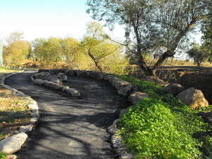 המשך השביל לצד נחל צלמון המשך השביל לצד נחל צלמון