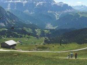 ��� ����� �������