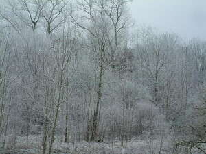 חורף קסום ומושלג ליד אולם חורף קסום ומושלג ליד אולם