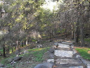 הדרך ההולכת אל מעיין עין אנין ביער קק''ל הדרך ההולכת אל מעיין עין אנין ביער קק''ל