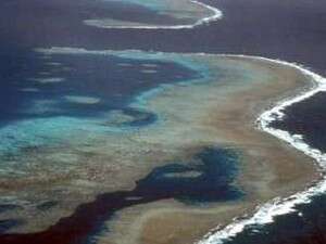 הגרייט בארייר ריף באוסטרליה הגרייט בארייר ריף באוסטרליה