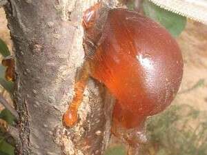 טיול מי-ם לים טיול מי-ם לים