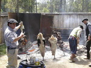 חוות הגאוצ'וס חוות הגאוצ'וס