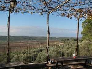 שפלת יהודה נגלית מיקב מוני שפלת יהודה נגלית מיקב מוני