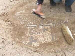 חושפים את הפסיפס בחרבת חנות חושפים את הפסיפס בחרבת חנות