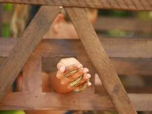 הישרדות. הישרדות.