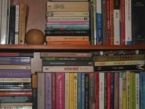 מדף הספרים של נועה רובין מדף הספרים של נועה רובין