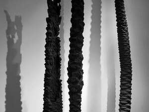 מיצב של סשה פרבר מיצב של סשה פרבר