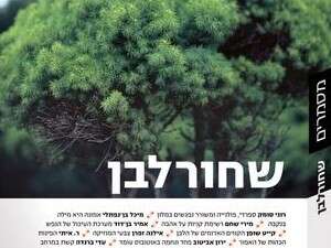 מסמריםמס' 8, שחור לבן מסמריםמס' 8, שחור לבן
