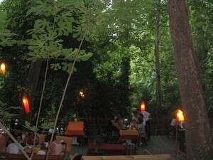 המסעדה שבסבך הג'ונגל המסעדה שבסבך הג'ונגל